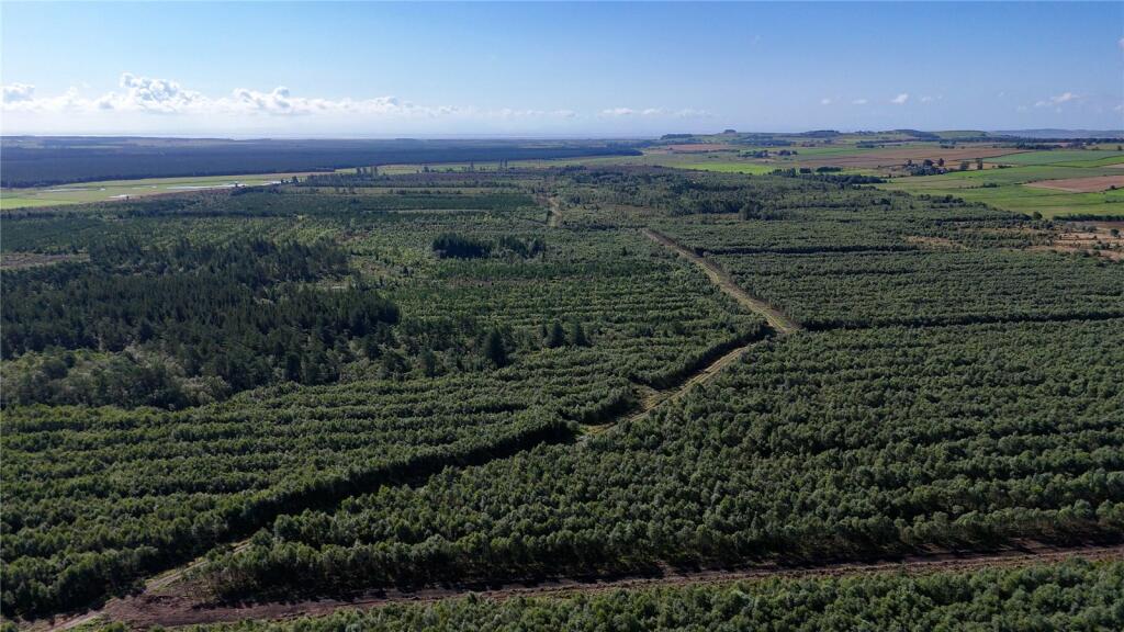 Additional image 26 of Fleet Forest, Fleet Forest, Dumfries, Dumfries & Galloway, South West Scotland, DG1