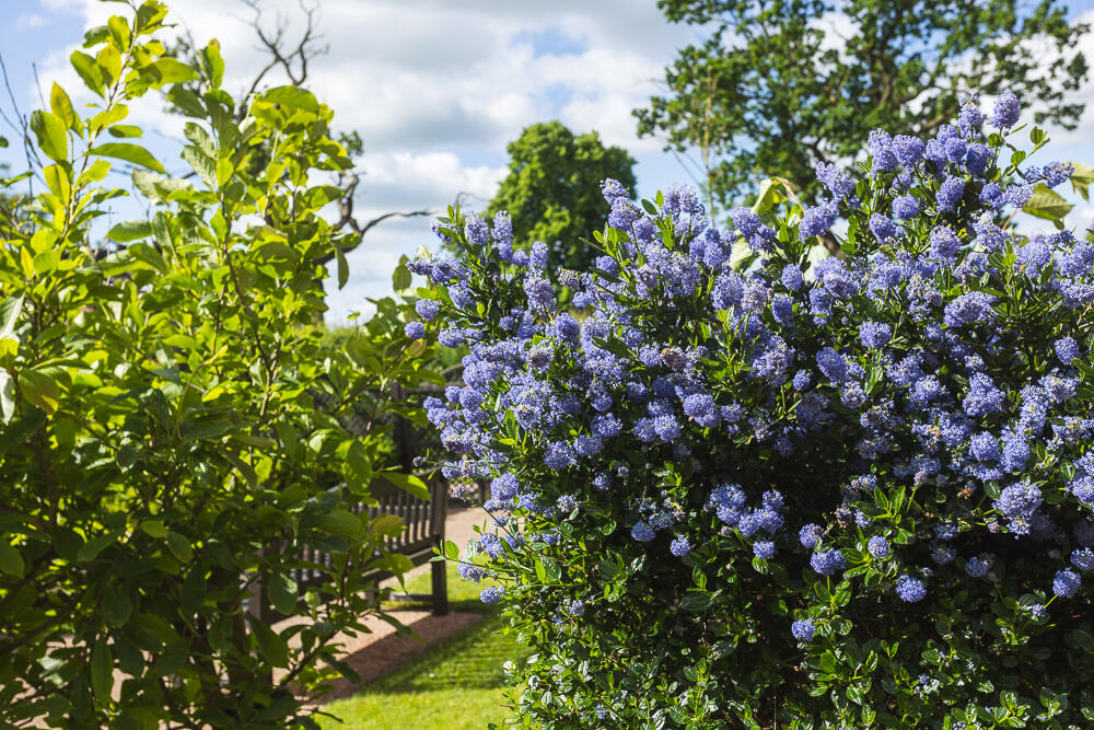 Additional image 20 of Hambleton Way, Winsford, Cheshire, CW7