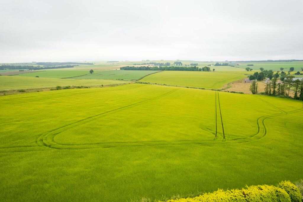 Additional image 28 of Craichie, Forfar, DD8