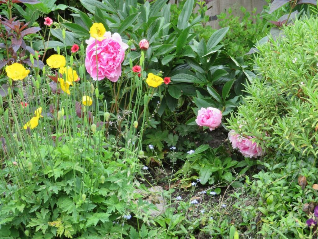 Additional image 36 of Little Bolehill, Bolehill, Wirksworth