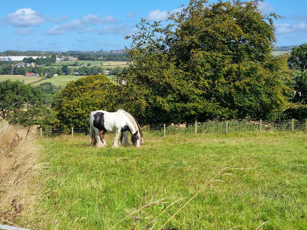 Additional image 31 of Grange House, Woodlands Hall, Knitsley