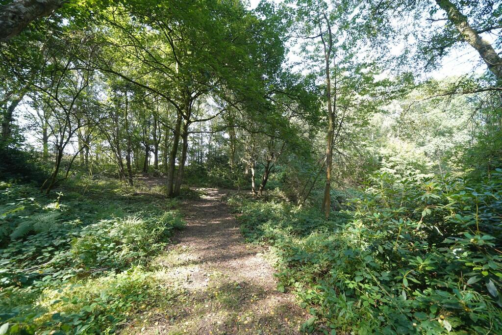 Additional image 55 of Chester Road, Oakmere