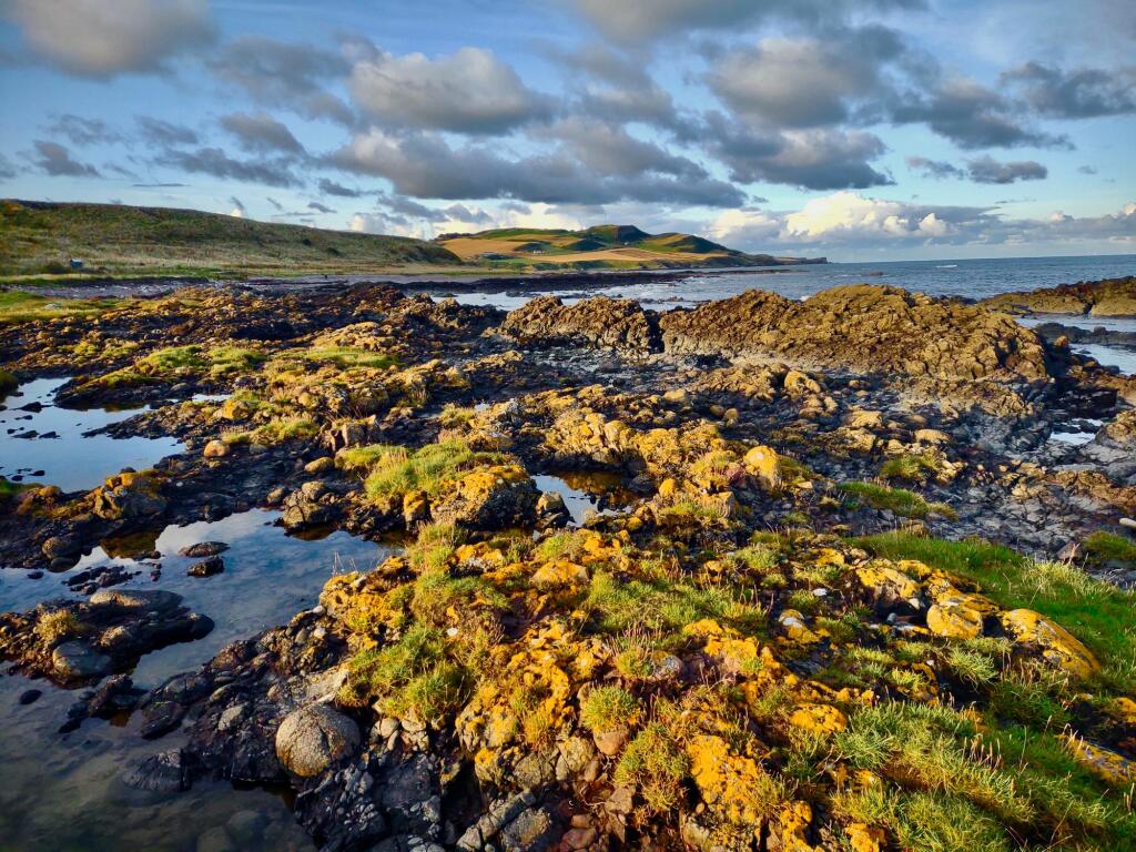 Additional image 21 of West Park Avenue, Inverbervie, DD10