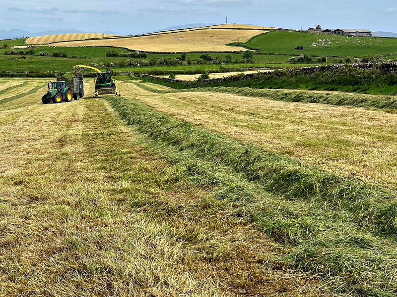 Additional image 26 of Knockefrick Farm