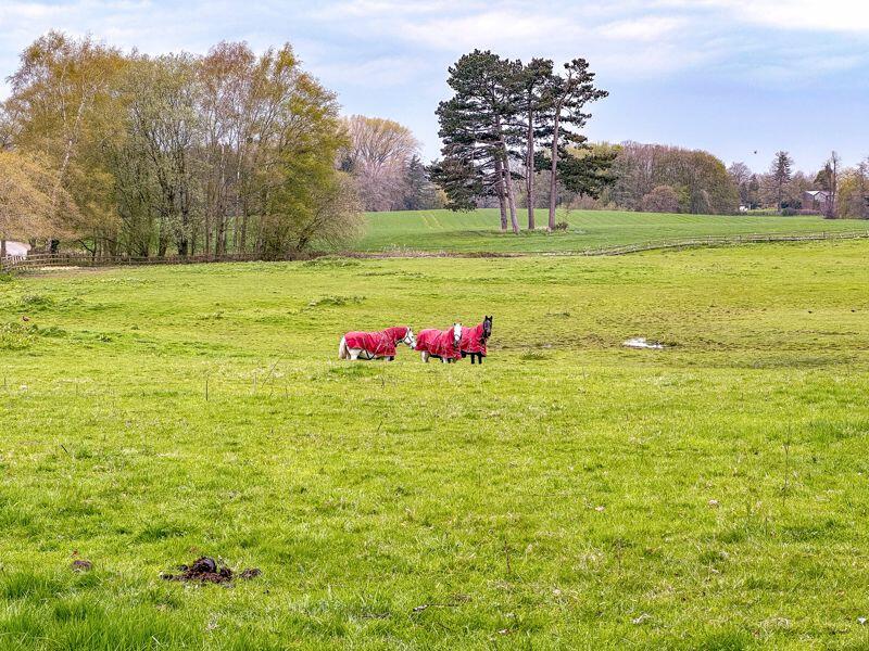 Additional image 33 of East Lodge, Moreton