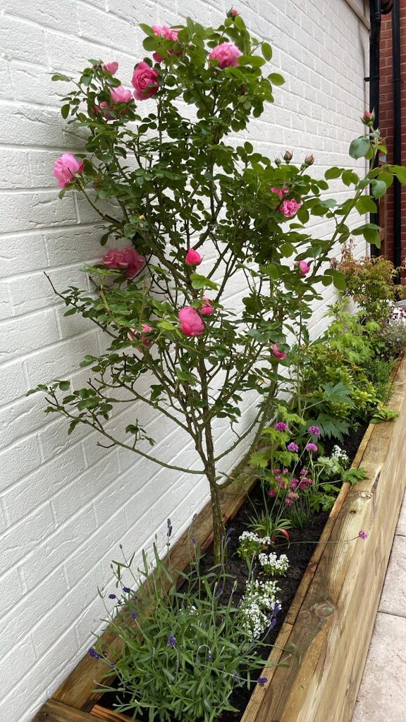 Additional image 29 of Wheatcroft Drive, Ambergate, Belper, DE56