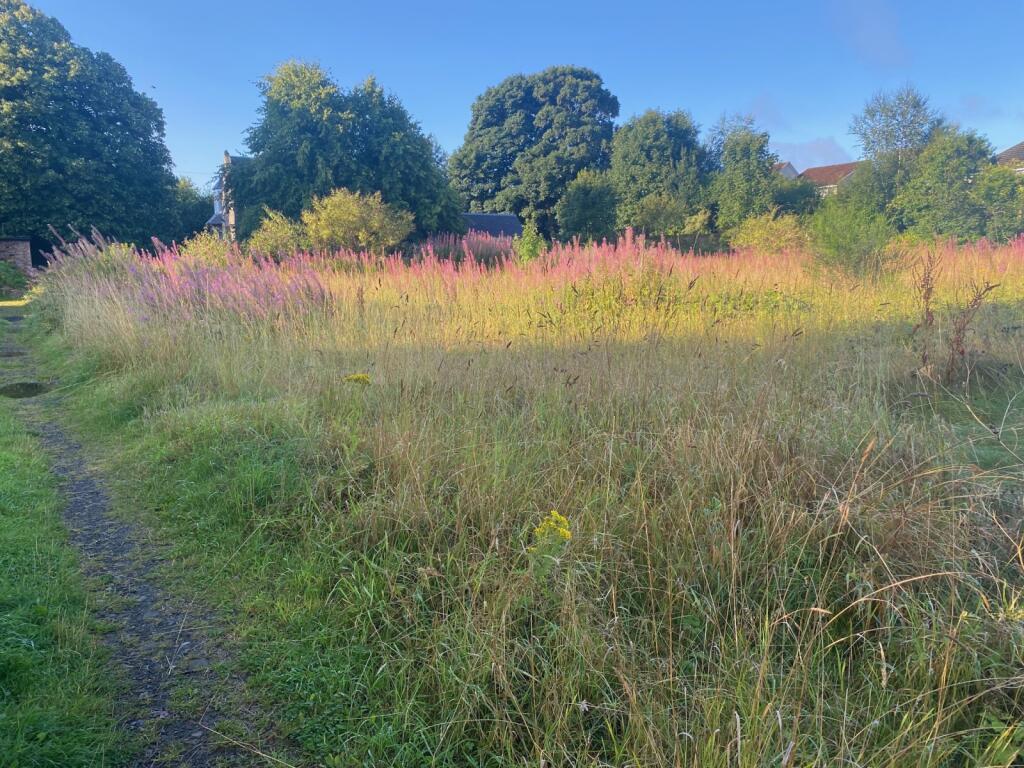 Additional image 11 of Baldragon Farm Development Site, Logan Crescent, Dundee, Angus, DD3