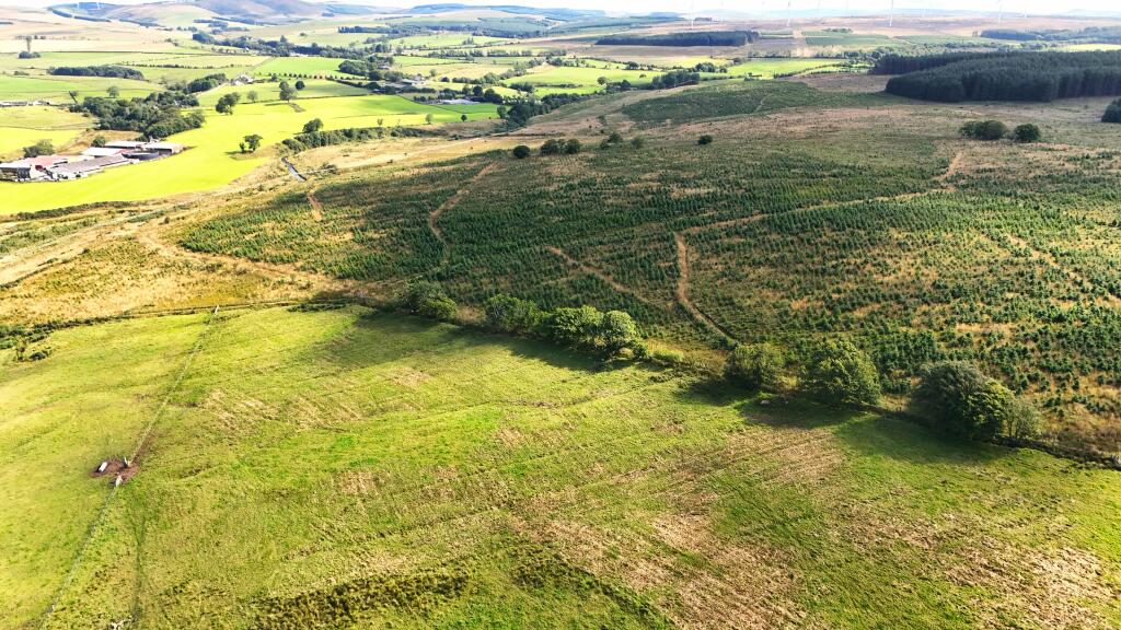 Additional image 9 of Hotts Hill Forest, Waterbeck, Lockerbie DG11 3HA
