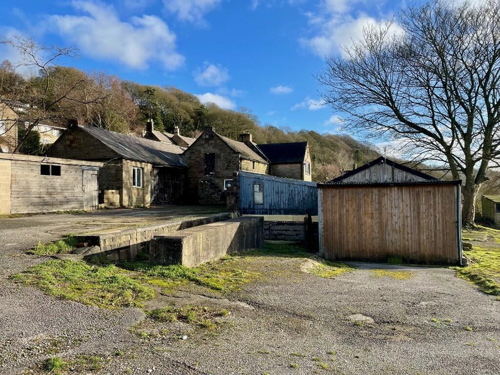 Additional image 3 of Lea Shaw, DE4