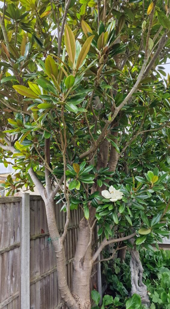 Additional image 24 of Canterbury Road, Folkestone, Kent, CT19