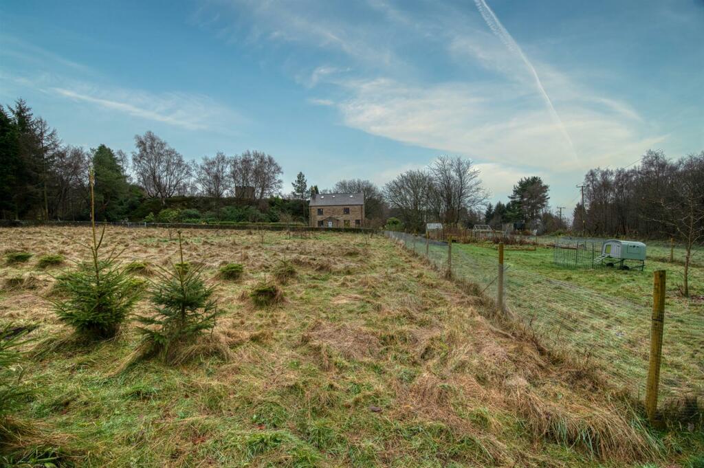 Additional image 45 of Allen Lane, Tansley