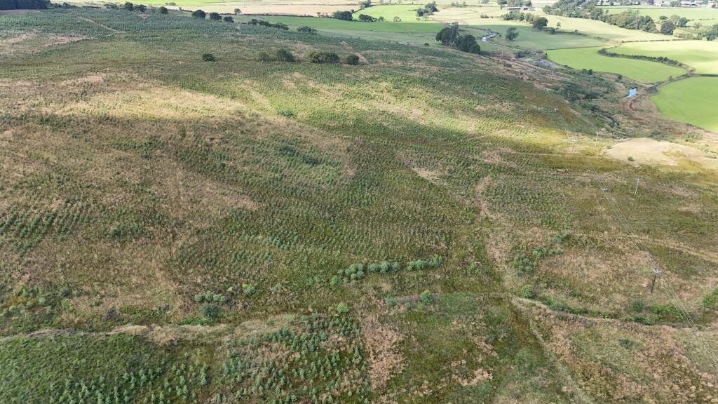 Additional image 8 of Hotts Hill Forest, Waterbeck, Lockerbie DG11 3HA