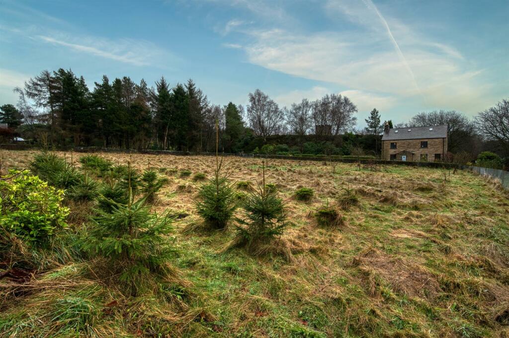 Additional image 43 of Allen Lane, Tansley