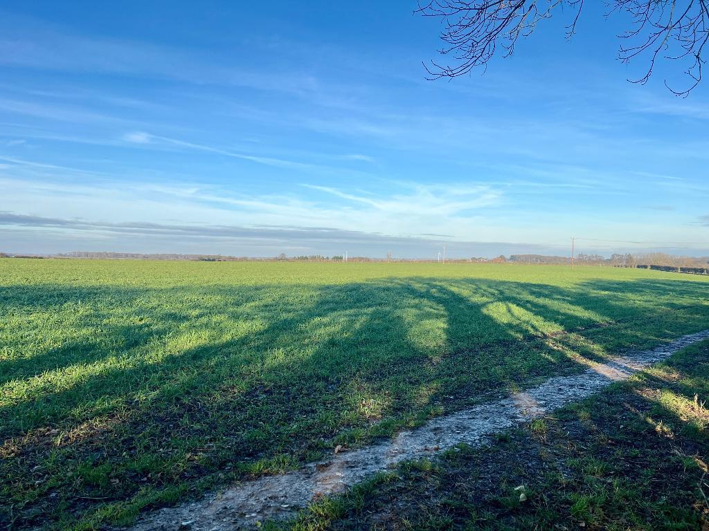 Additional image 25 of Coalfield Grove, Aylesham, Canterbury, Kent, CT3 3FX