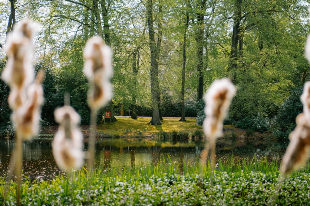 Additional image 31 of Bespoke and luxurious apartment overlooking a lake