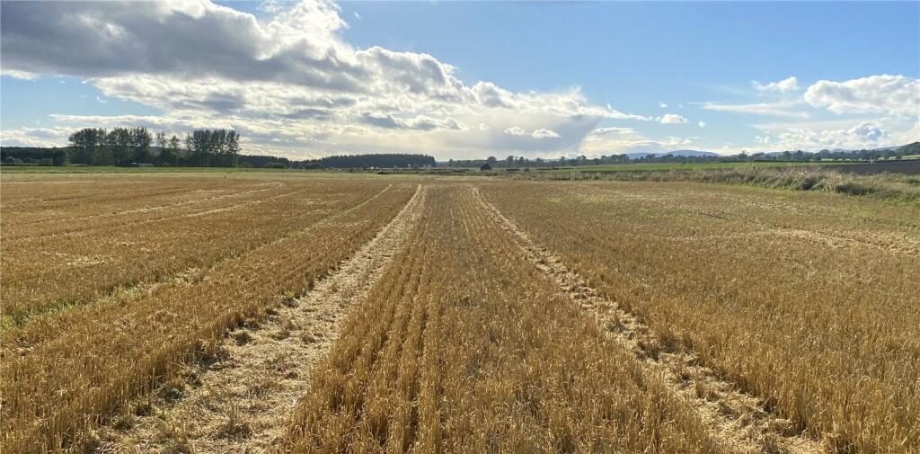Additional image 4 of Land At West Kintrockat Farm, Brechin, Angus, DD9