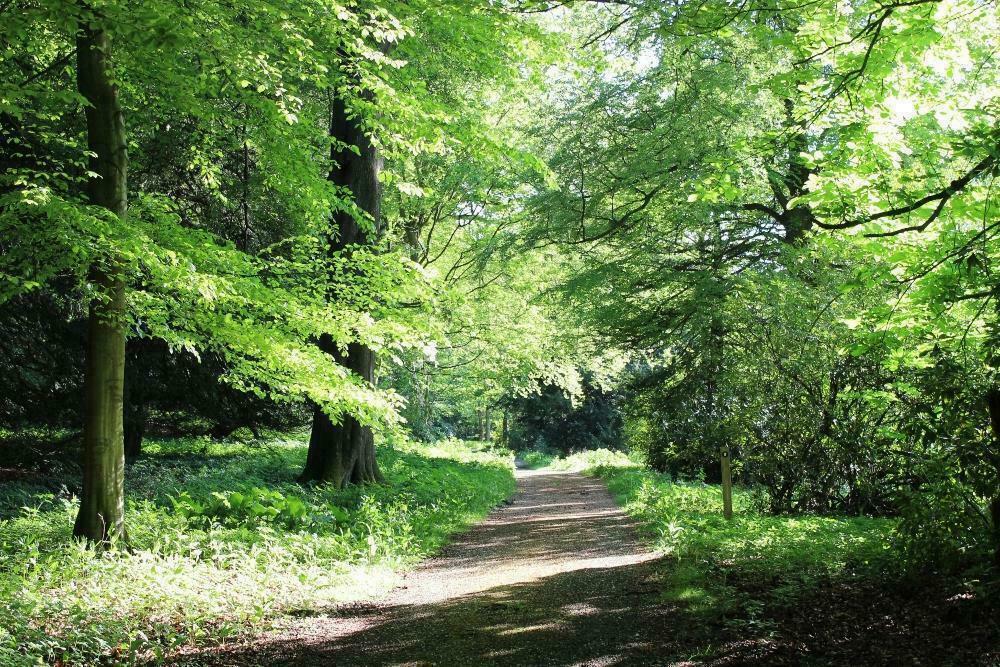 Additional image 12 of Lambton Park
Bowes Gate Drive
Lambton Park
DH3 4DS