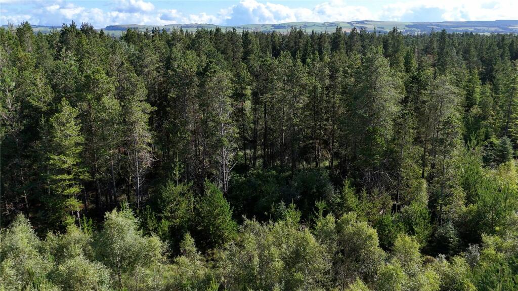 Additional image 18 of Fleet Forest, Fleet Forest, Dumfries, Dumfries & Galloway, South West Scotland, DG1