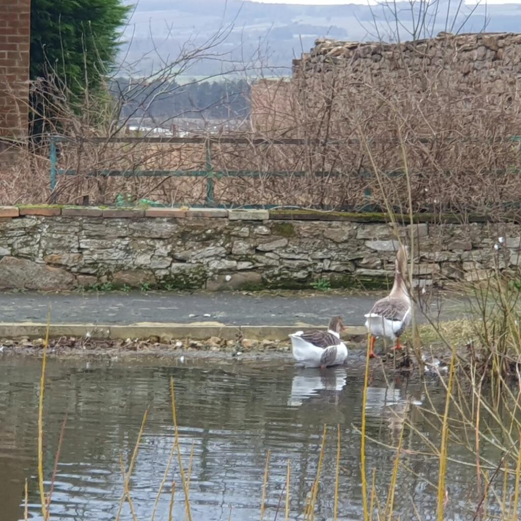 Additional image 4 of High Grange Farm, Hett