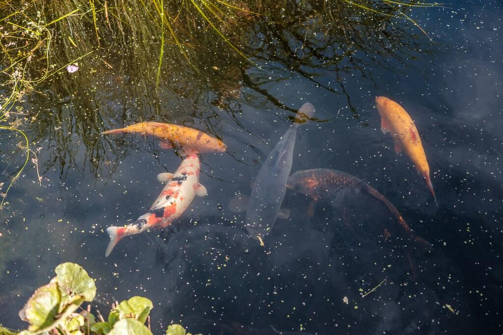 Additional image 36 of Tunstall