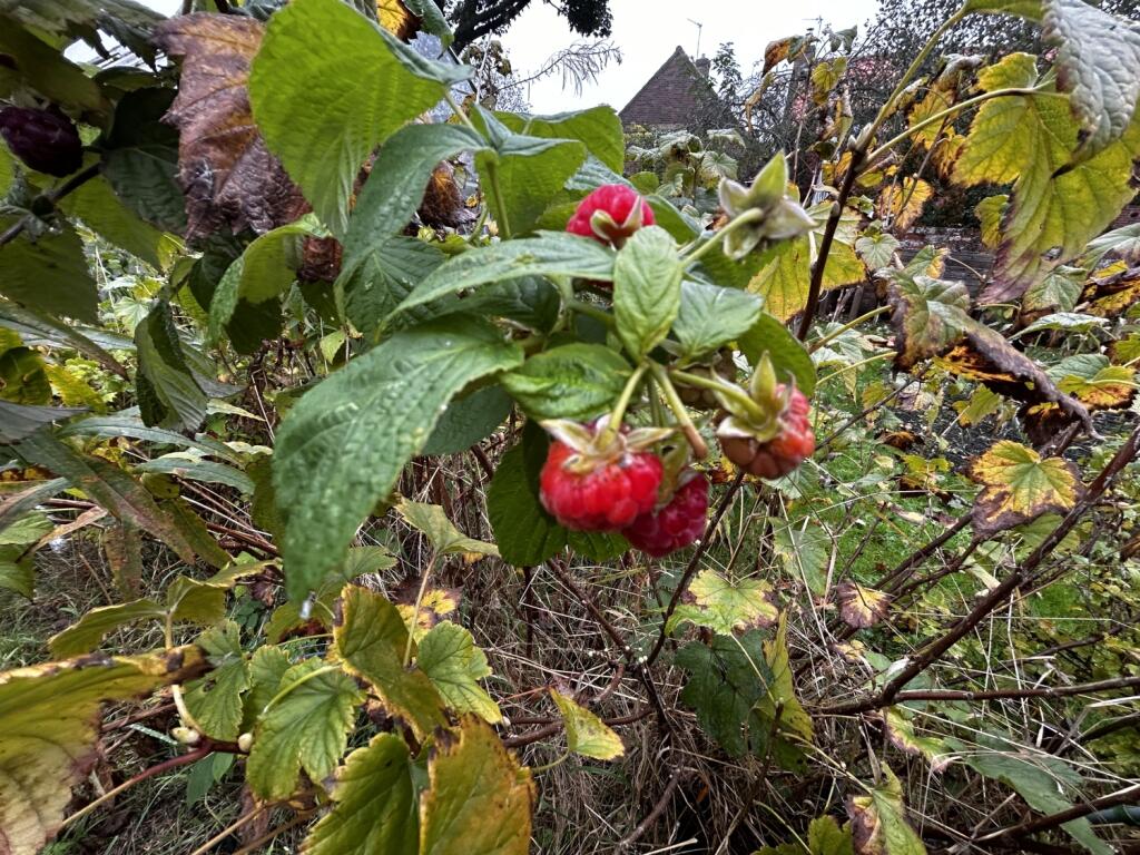 Additional image 21 of South Side, Shadforth, Durham, County Durham, DH6