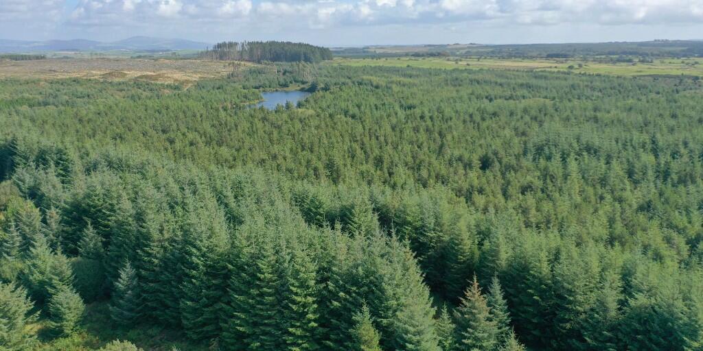 Additional image 11 of Crailloch Moss Wood, Galloway DG8