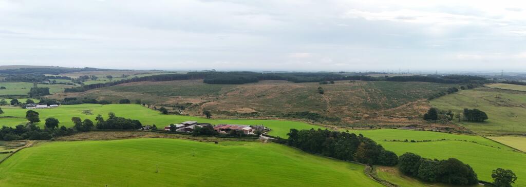 Additional image 11 of Hotts Hill Forest, Waterbeck, Lockerbie DG11 3HA