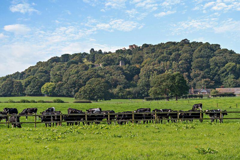 Additional image 11 of Brook Lane, Tarporley