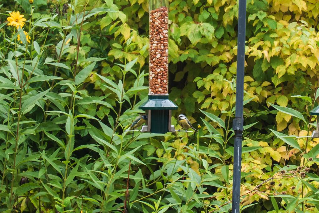 Additional image 16 of Cat & Fiddle Lane, West Hallam, DE7