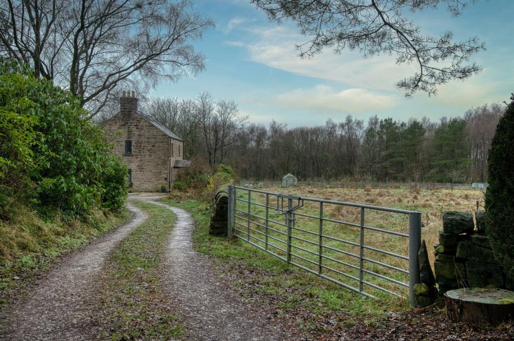 Additional image 36 of Allen Lane, Tansley