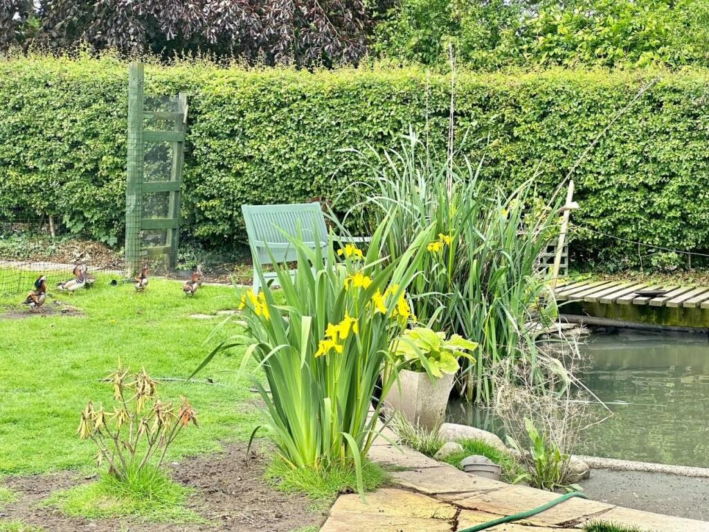 Additional image 48 of Dairy Lane, Poole, Cheshire