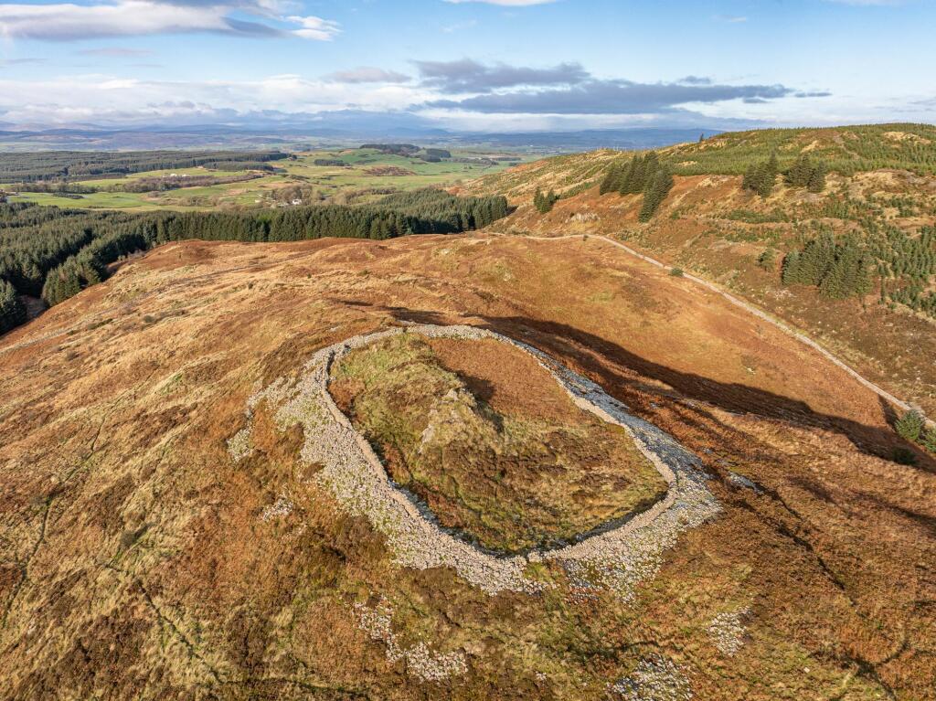 Additional image 13 of Dungarry Hill Plantation, Auchencairn, Castle Douglas, DG7