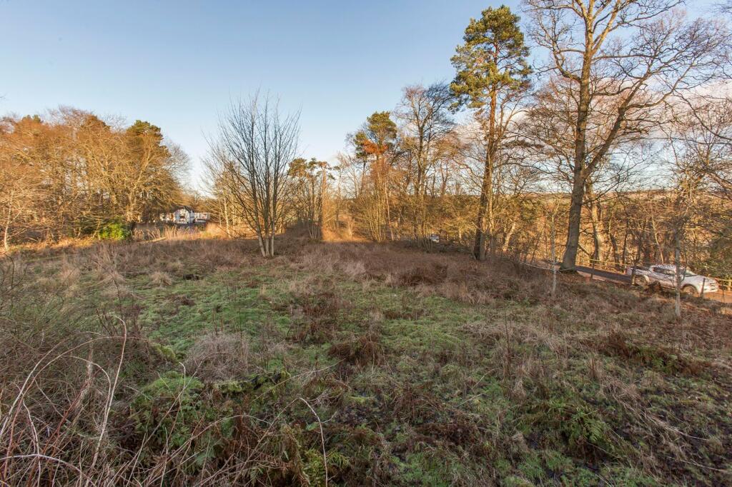 Additional image 6 of Hillside, Montrose, DD10