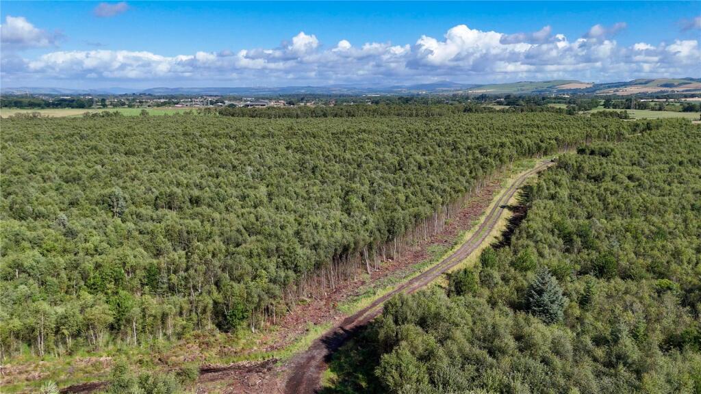 Additional image 9 of Fleet Forest, Fleet Forest, Dumfries, Dumfries & Galloway, South West Scotland, DG1