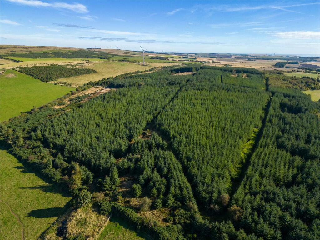 Additional image 6 of Brandshill, St Cyrus, Montrose, Aberdeenshire, DD10