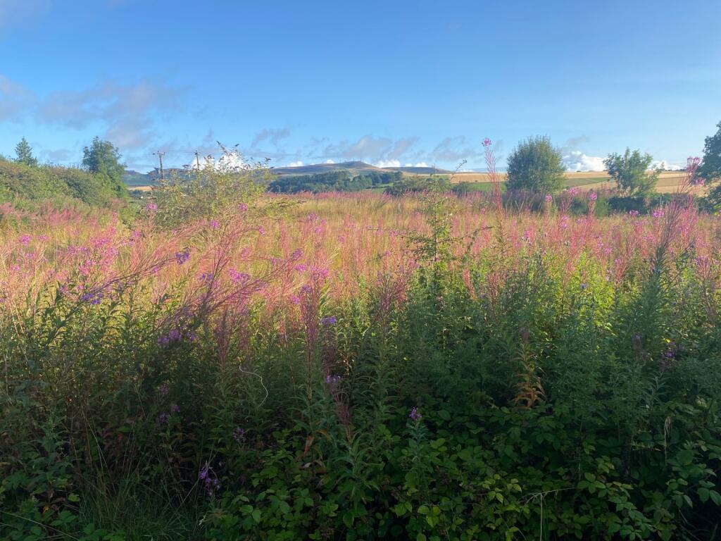 Additional image 4 of Baldragon Farm Development Site, Logan Crescent, Dundee, Angus, DD3