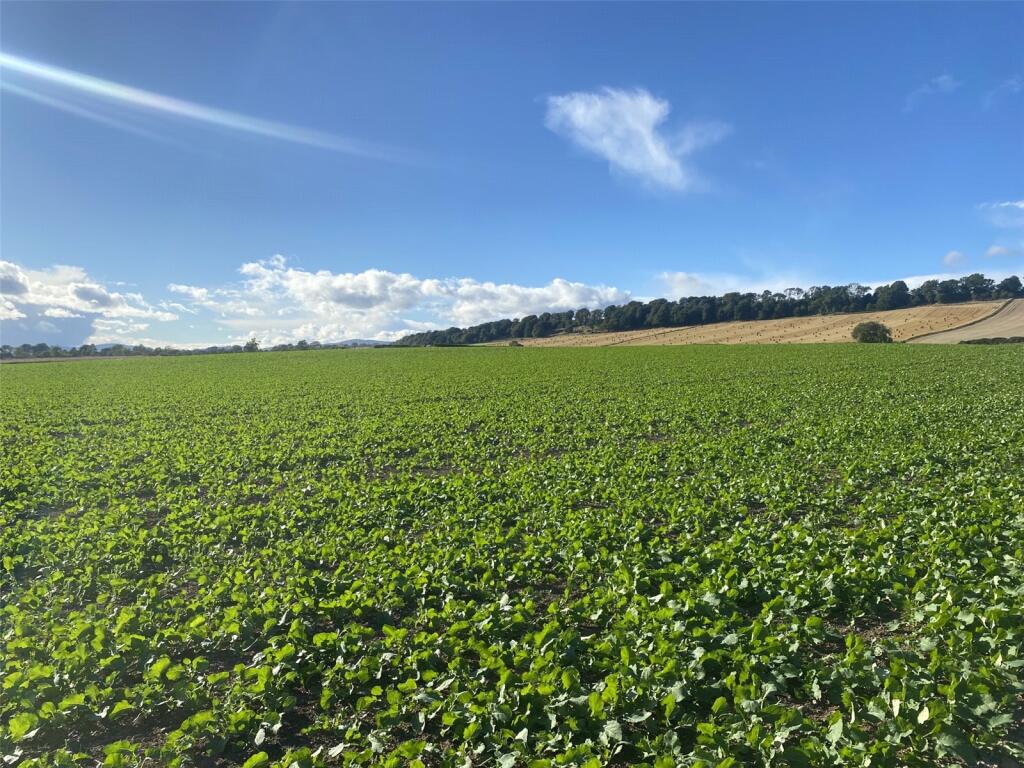 Additional image 8 of Land At West Kintrockat Farm, Brechin, Angus, DD9
