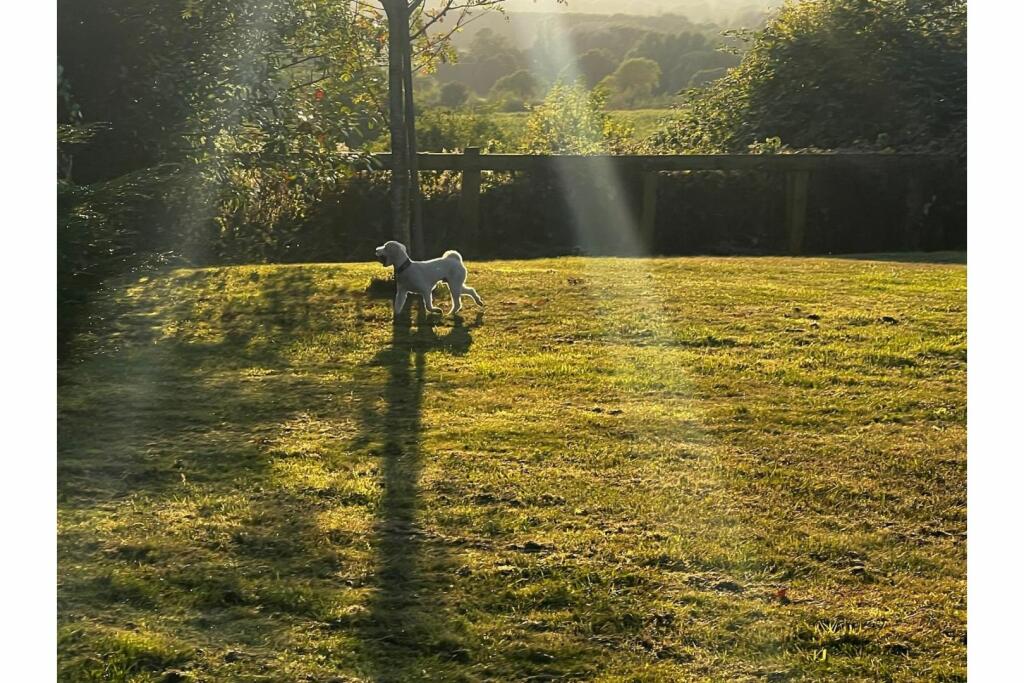 Additional image 10 of Dunsmore Stud, Rugby, CV23