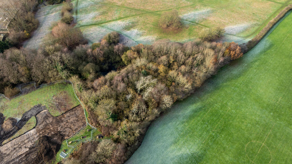 Additional image 4 of Woodland to the rear of, Peasehill, Ripley, Derbyshire DE5 3JN