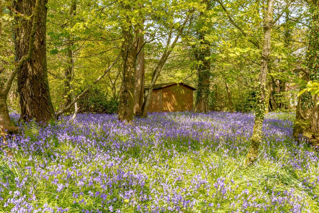 Additional image 51 of Locharthur House, Beeswing, DG2