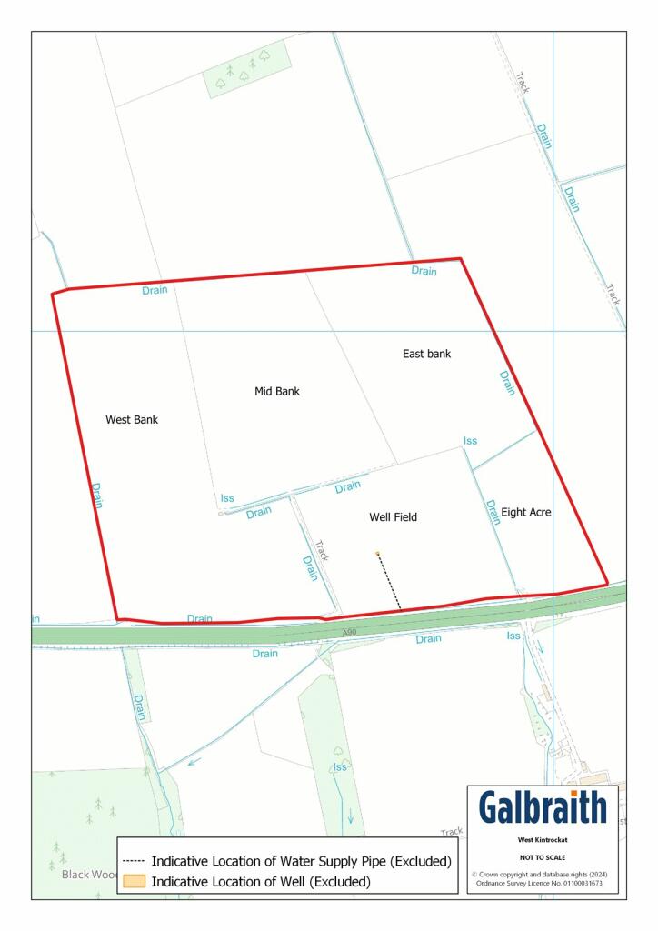 Additional image 6 of Land At West Kintrockat Farm, Brechin, Angus, DD9