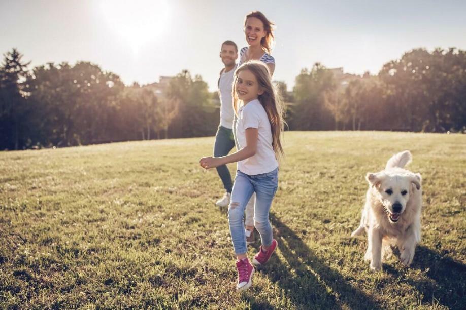 Additional image 14 of Harbour Village
Off College Road, Northfleet, 
DA11 9DQ