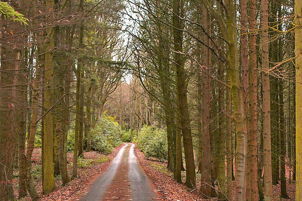 Additional image 31 of Eshwood Hall, Durham