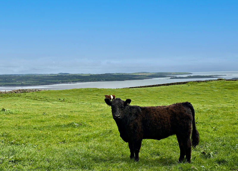 Additional image 22 of HIgh Auchenlarie & Holecroft Farms