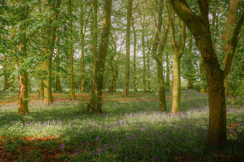 Additional image 34 of Bespoke and luxurious apartment overlooking a lake