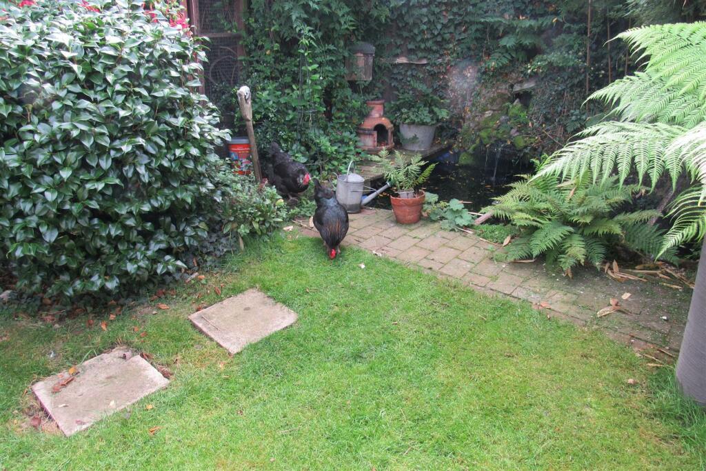 Additional image 28 of Windsor Gardens, Herne Bay