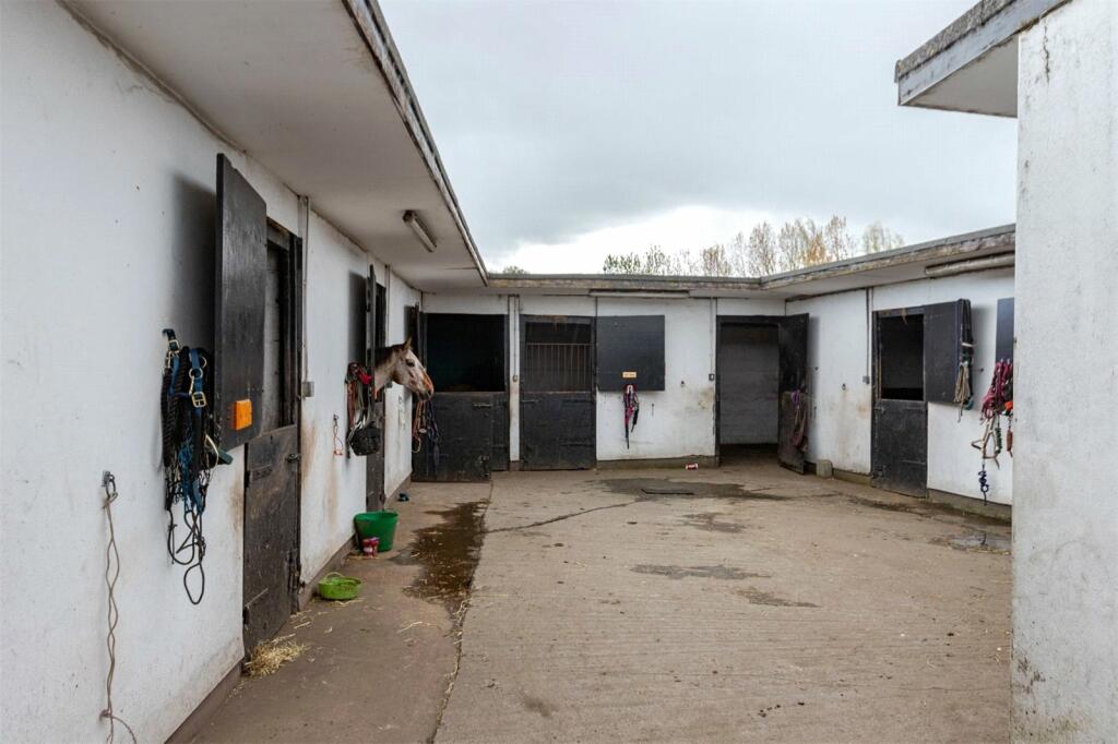 Additional image 23 of Angel Of The North Fishing Lakes, Bassets Lookout, Northside, Birtley