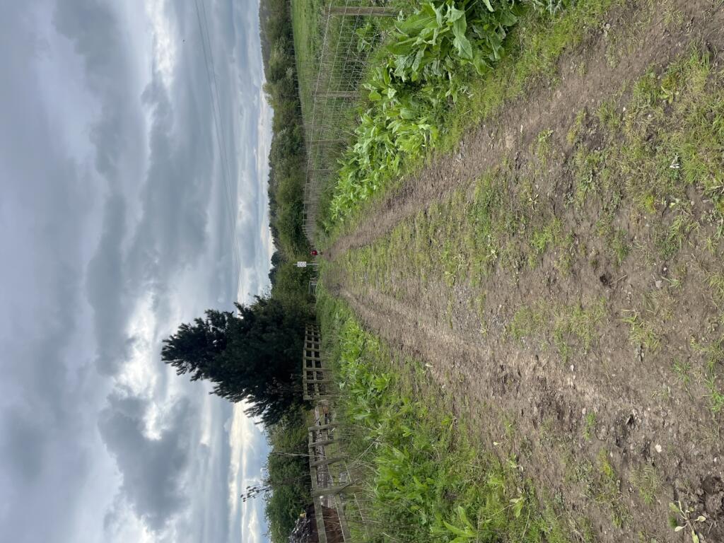 Additional image 9 of Land at Aycliffe Lane Aycliffe Lane, Brafferton, Darlington