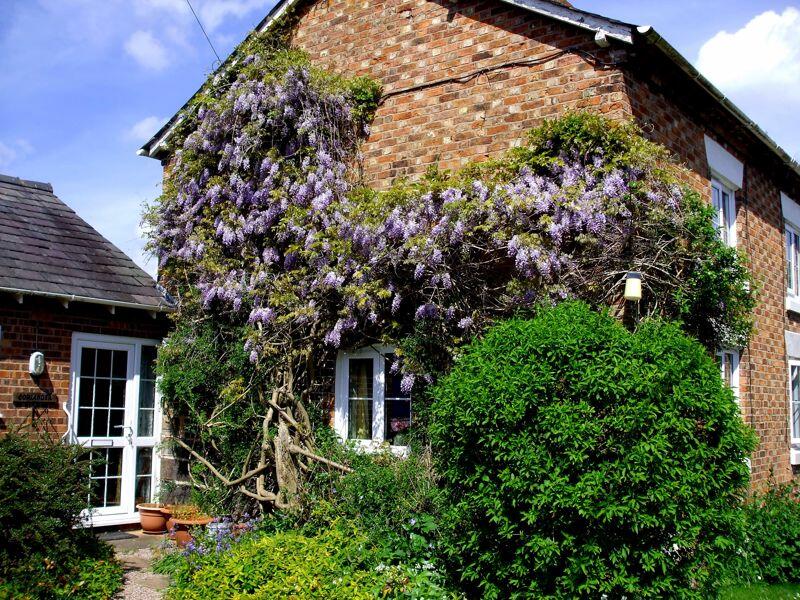 Additional image 9 of Bunbury, nr Tarporley