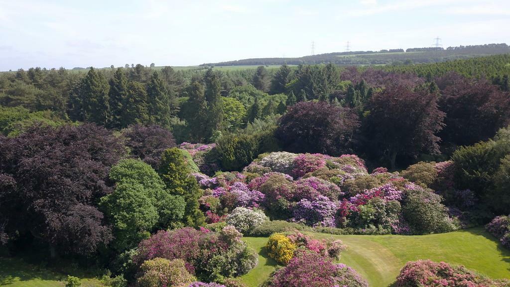 Additional image 16 of Eshwood Hall, Durham